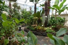 공주 산성시장에 오면 힐링이 된다