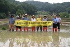 손모내기 구슬땀