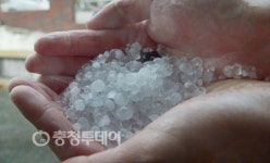 때아닌 직경 1㎝ 우박… 대전 시민들 화들짝