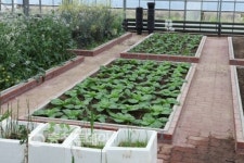 내 먹을거리 내 손으로… 도시에서도 농사짓자