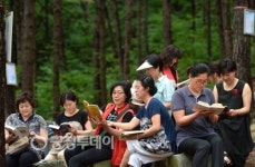 산림욕장 숲속 문고… 힐링 저절로