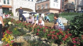 청주시 성화동 경로당 노인들 꽃밭 조성