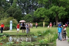 낭만·감동이 있는 태안군… 피서지로 딱이네