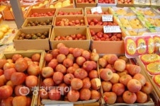 전국 최우수 법인 명성 가격·품질 모두 가져가세요