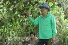 여주·마… 틈새작목이 효자였네요