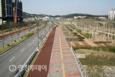 증평 보강천 복층 가로수 길 조성