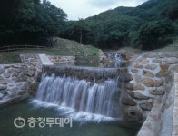 단양국유림관리소 정영운 소장 “숲과 더불어 지역민에 행복주는 산림행정”