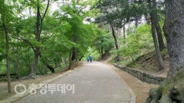 부소산성 유네스코 위상 걸맞게 곳곳 야간경관사업 펼친다