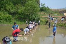 서울 마곡중 서천 찾아 현장체험 학습 실시