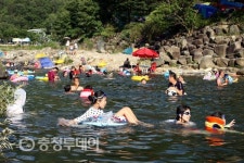 “여름휴가, 고민 말고 단양으로”