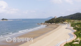 금빛 백사장 거닐며 난향에 취하다