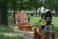 보강천 미루나무 숲 여름 휴식공간 ‘최고네’