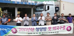 2015년산 ‘청양 밤’ 첫 미국 수출길 열다