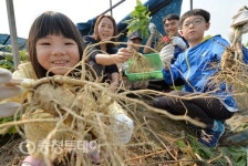 금산인삼축제 즐기는 가족