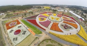 태안꽃축제, 미국·캐나다·일본·인도 함께 세계5대축제로 선정