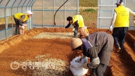 태안군 노인일자리 1호 사업 본격화