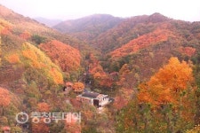 만추 민주지산자연휴양림으로 ‘힐링 여행’