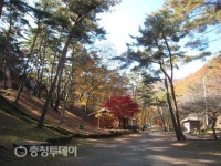 만수산자연휴양림, 힐링공간으로 새단장
