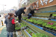 청주 강서1동 주민센터 새봄맞이 꽃탑 정비 실시