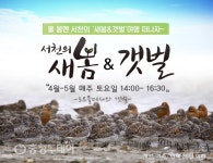 도요새 천국 서천으로 새봄여행 떠나요~