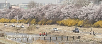 4월 첫 주말 봄꽃맞이 인파 ‘북적’