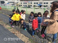 단양 매포어린이집 어린이들 아로니아 연구소·공장 방문