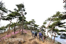괴산 성불산 즐거운 비명