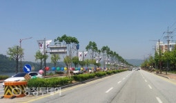 공주시 주요도로 3곳 6억 투입 녹지형 중앙분리대 조성
