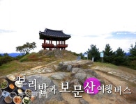 “주말 보문산 등산로 거닐며 꽃향기에 취해요”