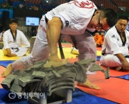 세계무예의 조화 주제 87國 2000여명 참가 매머드급 … 8일 폐막