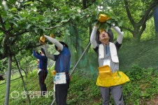 국민 행복 ‘최우선가치’… 사회공헌활동 최일선 서다