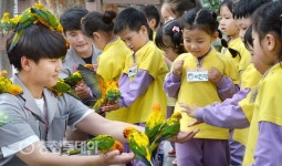 39종 희귀조류 가득찬 버드랜드 개장으로 4계절 테마공원된 대전오월드