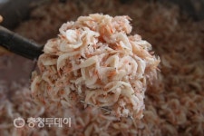 [아줌마대축제] 천연토굴에서 저장·숙성시킨 ‘광천토굴새우젓’
