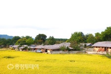 [전국체전특집] 세종대왕도 휴양하던 치유의 고장 ‘가을이 물들다’