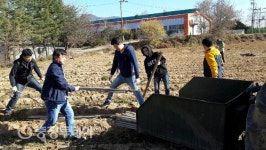 음성군 공직자들 농번기 일손돕기 ‘구슬땀’
