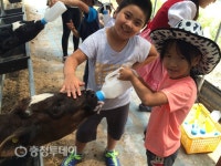 자연히 만든 행복 … 생태·예술로 감성 채워요