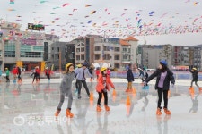 갈매기와 ‘씽씽’… 바다스케이트장 운치 있네