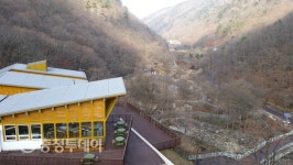 금산산림생태문화체험단지 공사 막바지