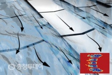 [설특집] 장거리 가족안전 책임지는 한국타이어, 귀성길 전 안전체크 필수
