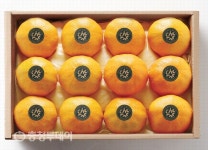 [설특집] 백화점세이 감사의 마음, SAY로 표현하세요