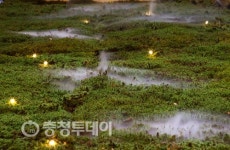 ‘화성에서 온 메시지展’ 5월까지 스페이스 씨샵