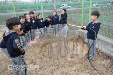 “우리처럼 잘 자라렴” … 영동유치원 식목일 무궁화나무 심기