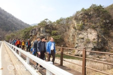 벚꽃 물든 단양선암골 트레킹족들 몰린다