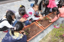 “꼬마 농부가 자라나요” 세종 참샘초등학교 꼬마농장 활동
