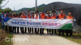 충남농협 검사국, 논산 양촌면 딸기재배농가 방문·일손지원