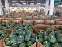 [행복한 식탁] 대전중앙청과(주) 충청권 농산물 유통혁신 전국 도매시장의 롤모델