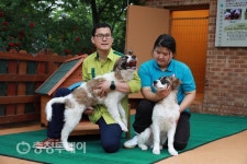 대전 오월드에 전시장, 조선시대 얼룩 삽살개 복제 성공