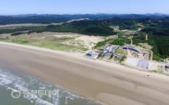 “여름 휴가철 태안 신두리 해안사구로 생태관광 떠나요”