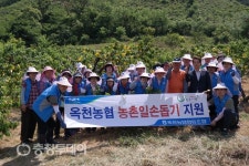 옥천농협 가뭄현장 찾아 일손돕기 실시