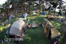 솔향기 가득 송호관광지 전국 캠핑족 ‘유혹’